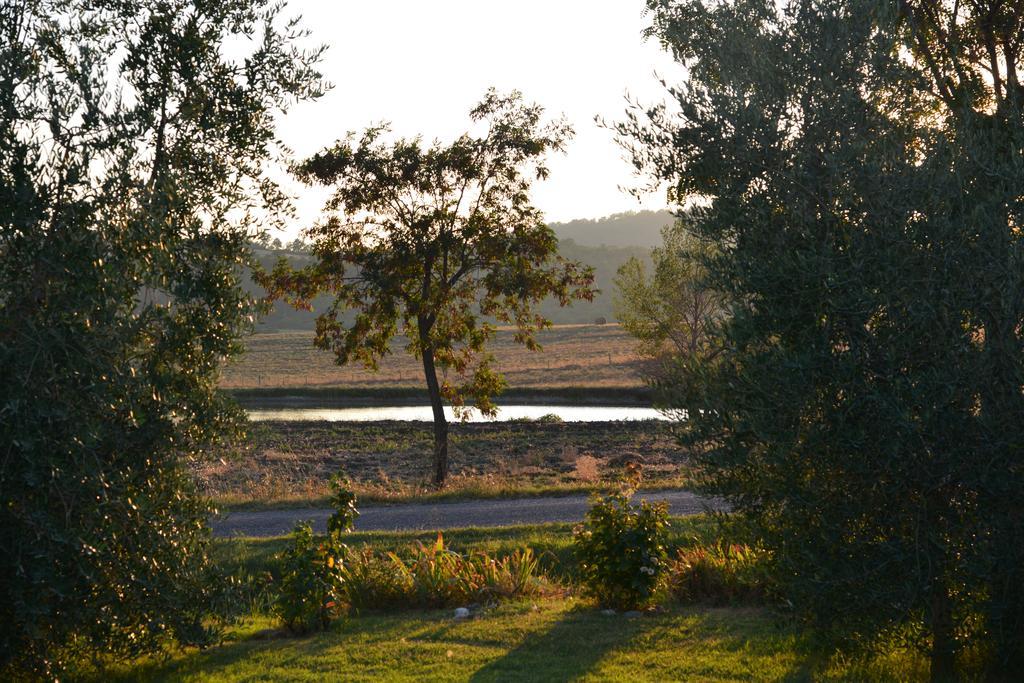 Agriturismo Podere Micitto Usi Δωμάτιο φωτογραφία