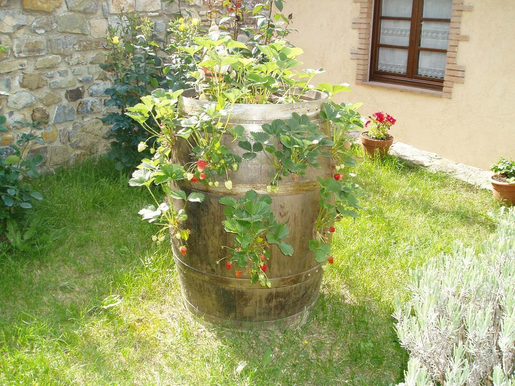 Agriturismo Podere Micitto Usi Εξωτερικό φωτογραφία