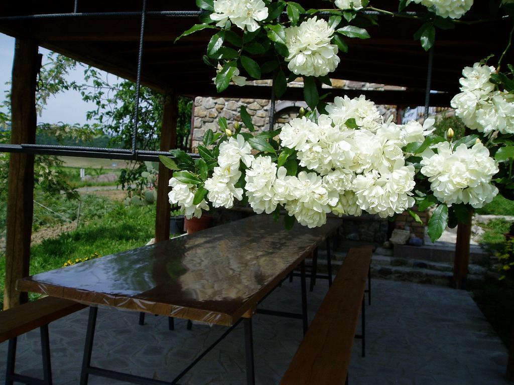 Agriturismo Podere Micitto Usi Εξωτερικό φωτογραφία