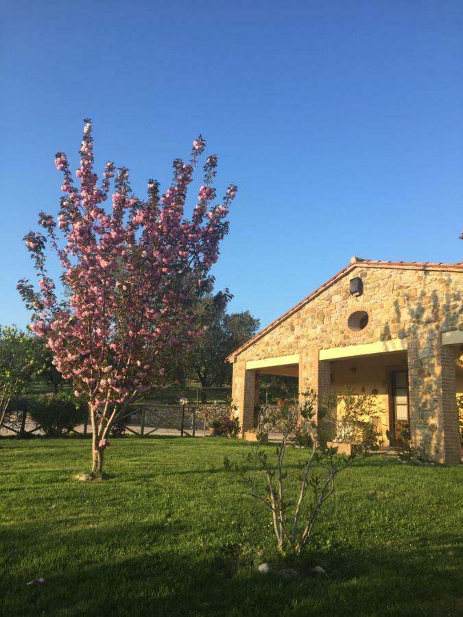 Agriturismo Podere Micitto Usi Εξωτερικό φωτογραφία